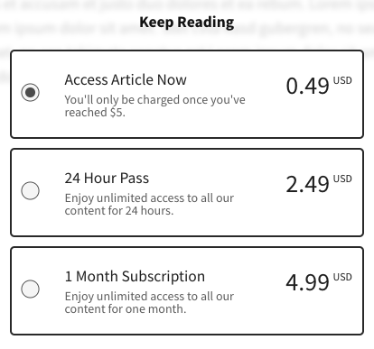 laterpay 24 hour pass